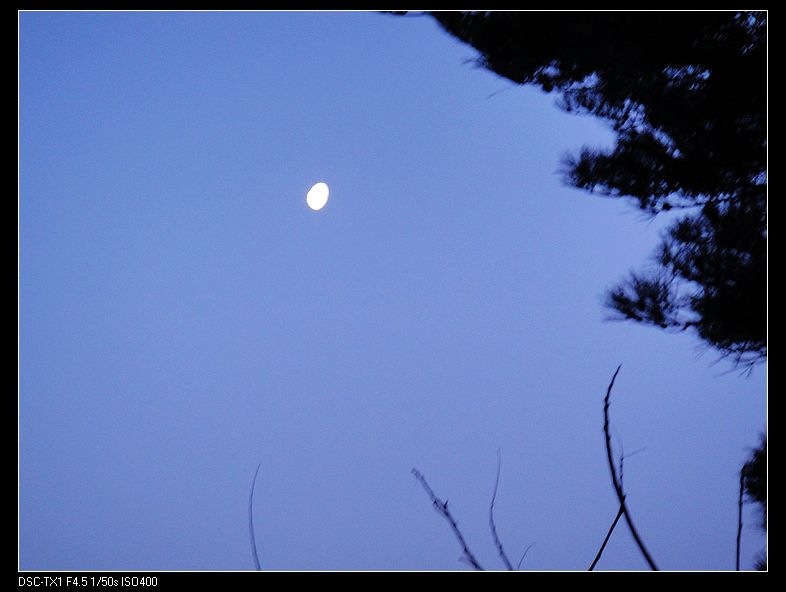 DSC02090.JPG
