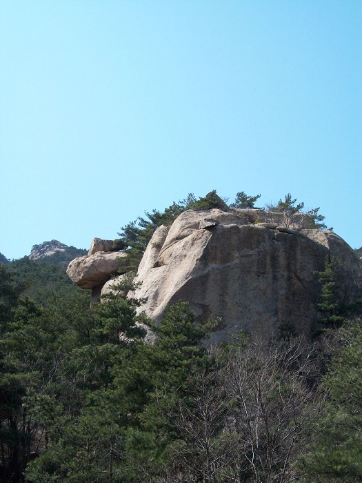 100_1237.jpg