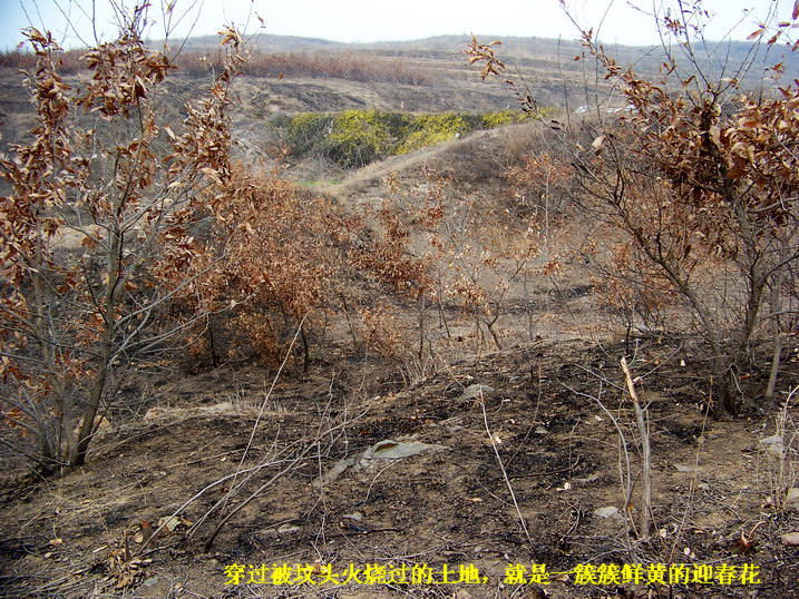 118_8512_缩小大小.JPG