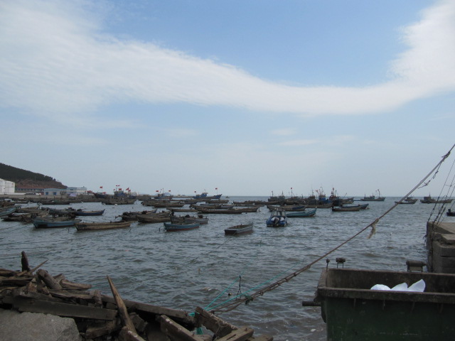 IMG_0086.jpg