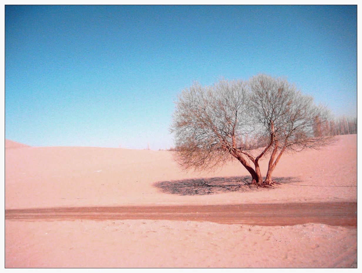 静静的沙漠.jpg