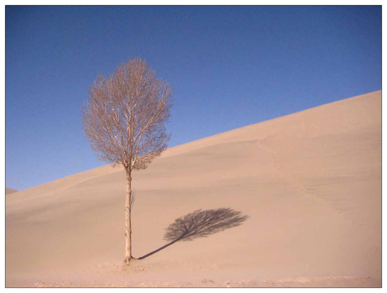 静静的沙漠2.jpg