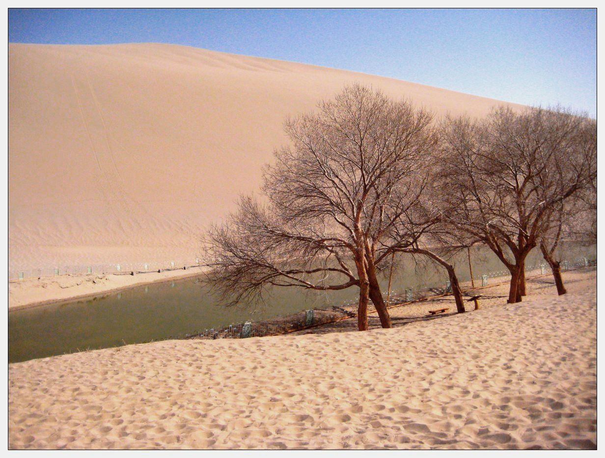 静静的沙漠3.jpg