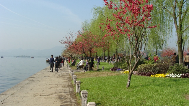 DSC04322_光影_1.jpg