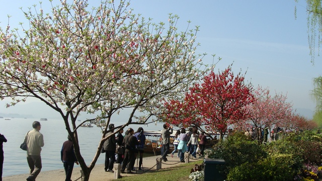 DSC04316_光影_1.jpg