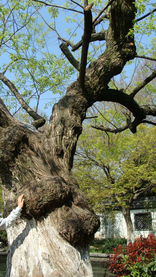 DSC04381_光影_1.jpg