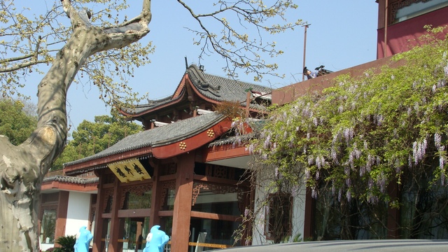 DSC04403_光影_1.jpg