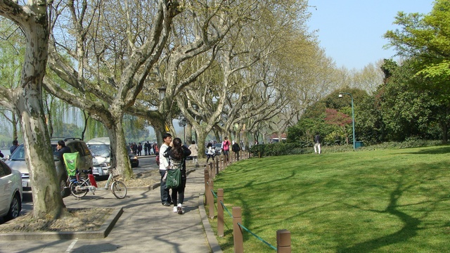 DSC04408_光影_1.jpg