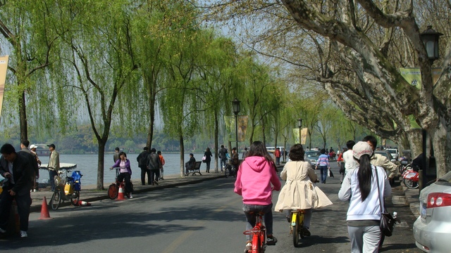 DSC04405_光影_1.jpg