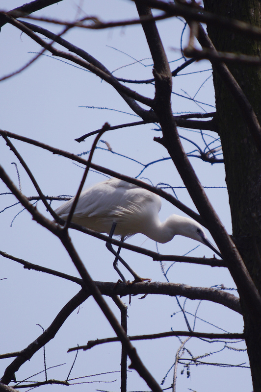 nEO_IMG_IMGP1305.jpg