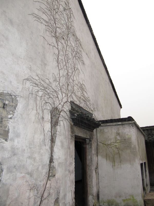 乌镇.风景10.JPG