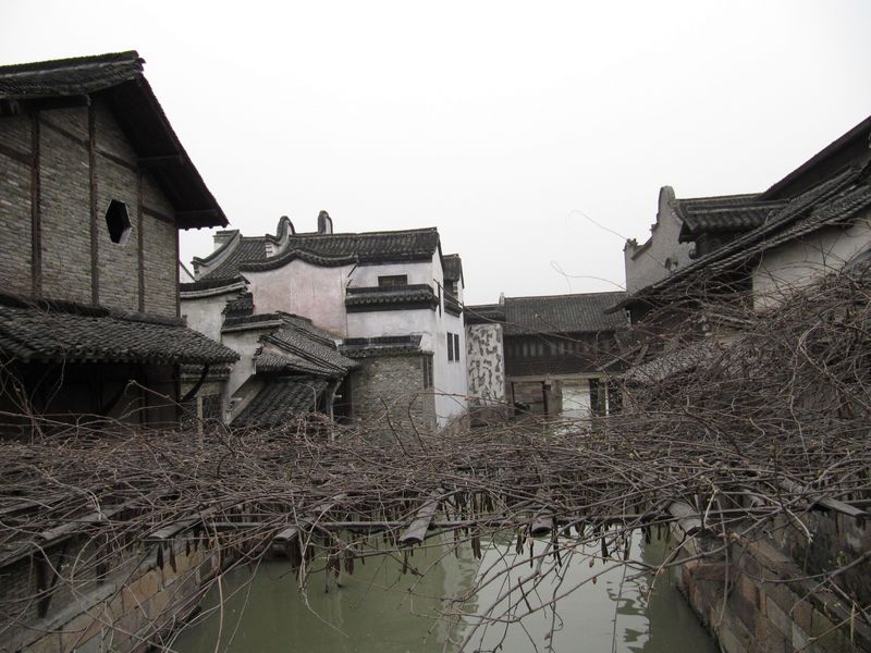 乌镇.风景7.JPG