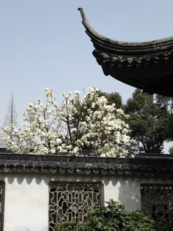 拙政园.游园3.JPG