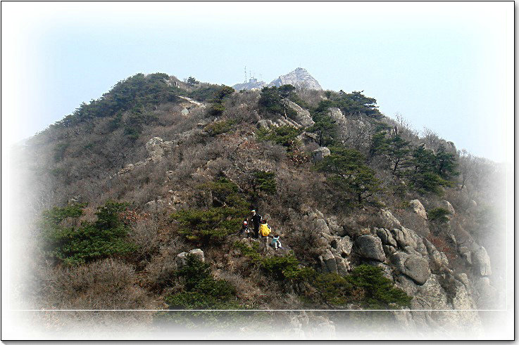 四月的牙山 (233).jpg