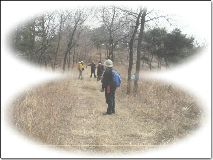 四月的牙山 (120).jpg