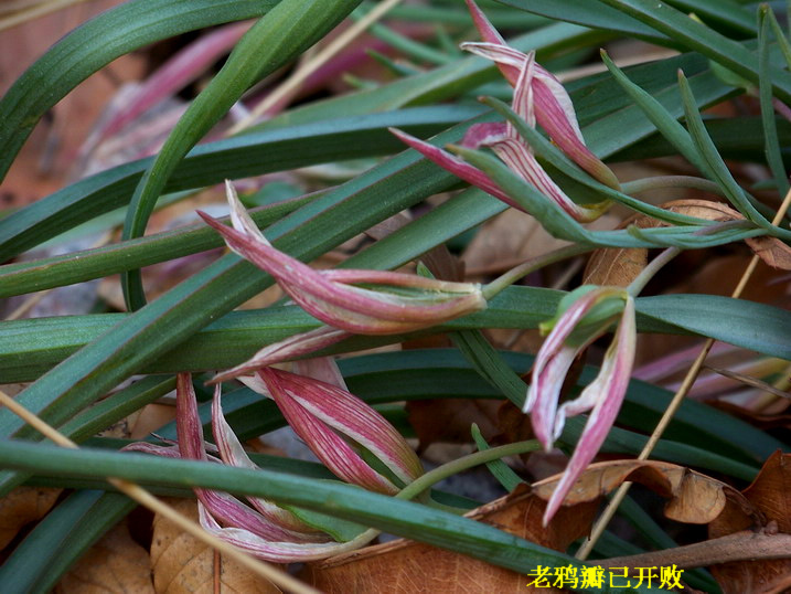 118_8650_缩小大小.JPG