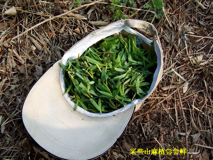 118_8704_缩小大小.JPG