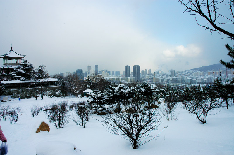 DSC_0537-00-1.jpg