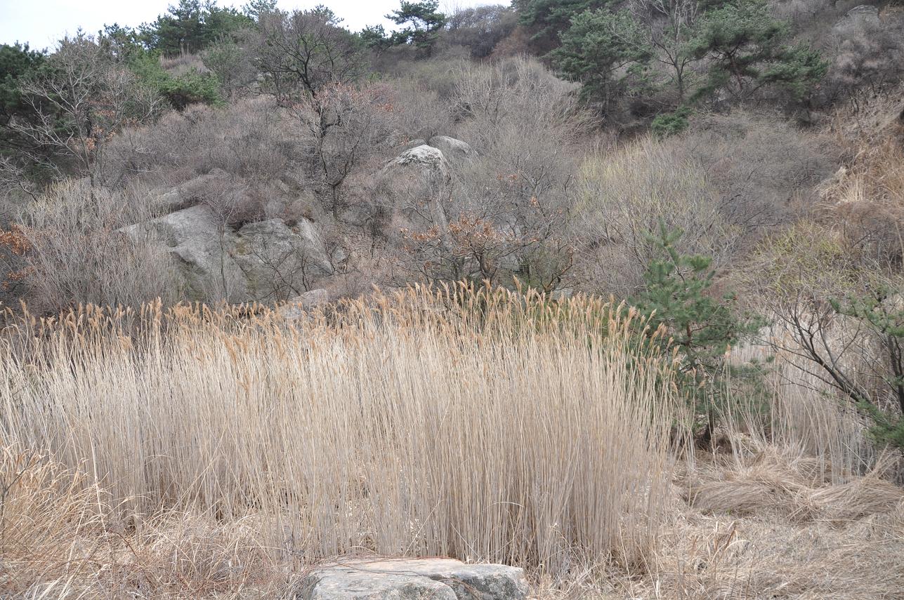 DSC_0482.JPG