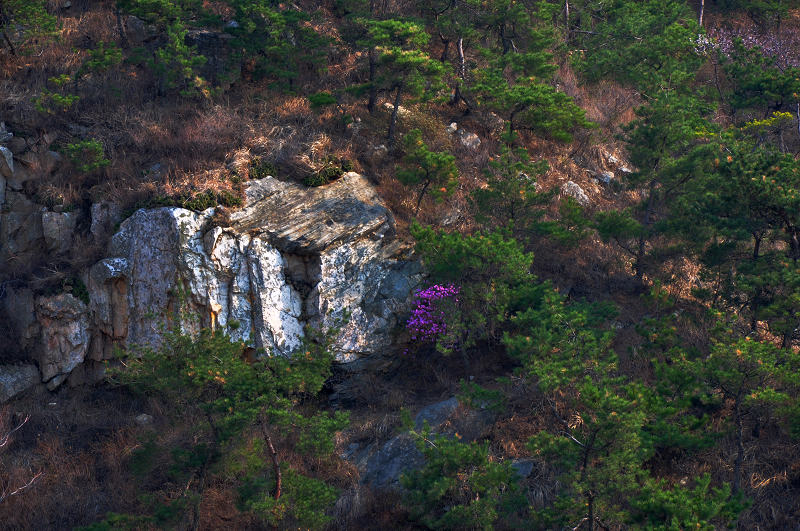 栖霞马耳山 237.jpg