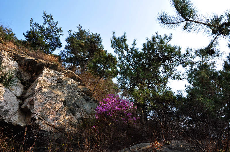 栖霞马耳山 241.jpg