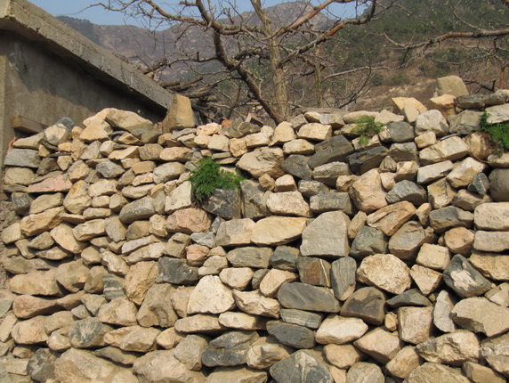 IMG_0592_调整大小_调整大小.JPG