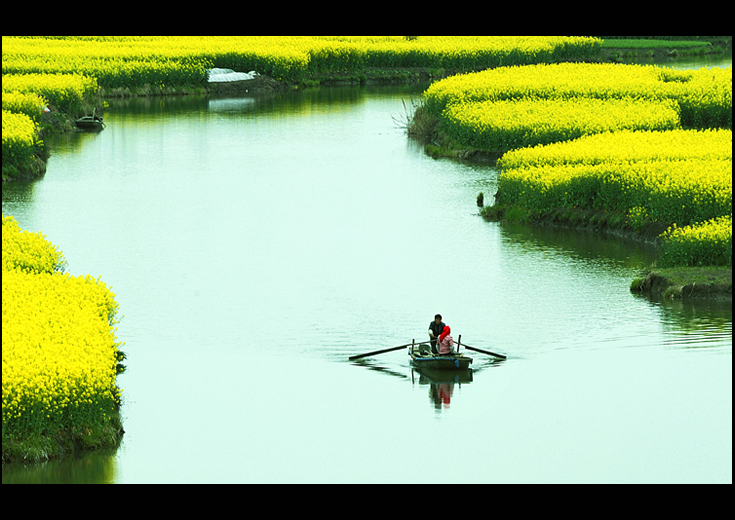 花中游.jpg