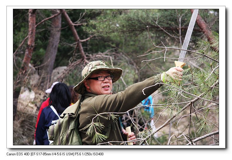 nEO_IMG_引航与旅游 256.jpg