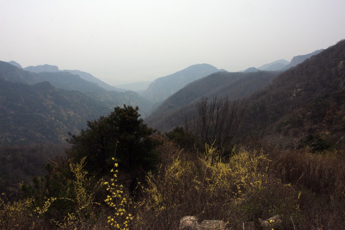 IMG_9379.JPG