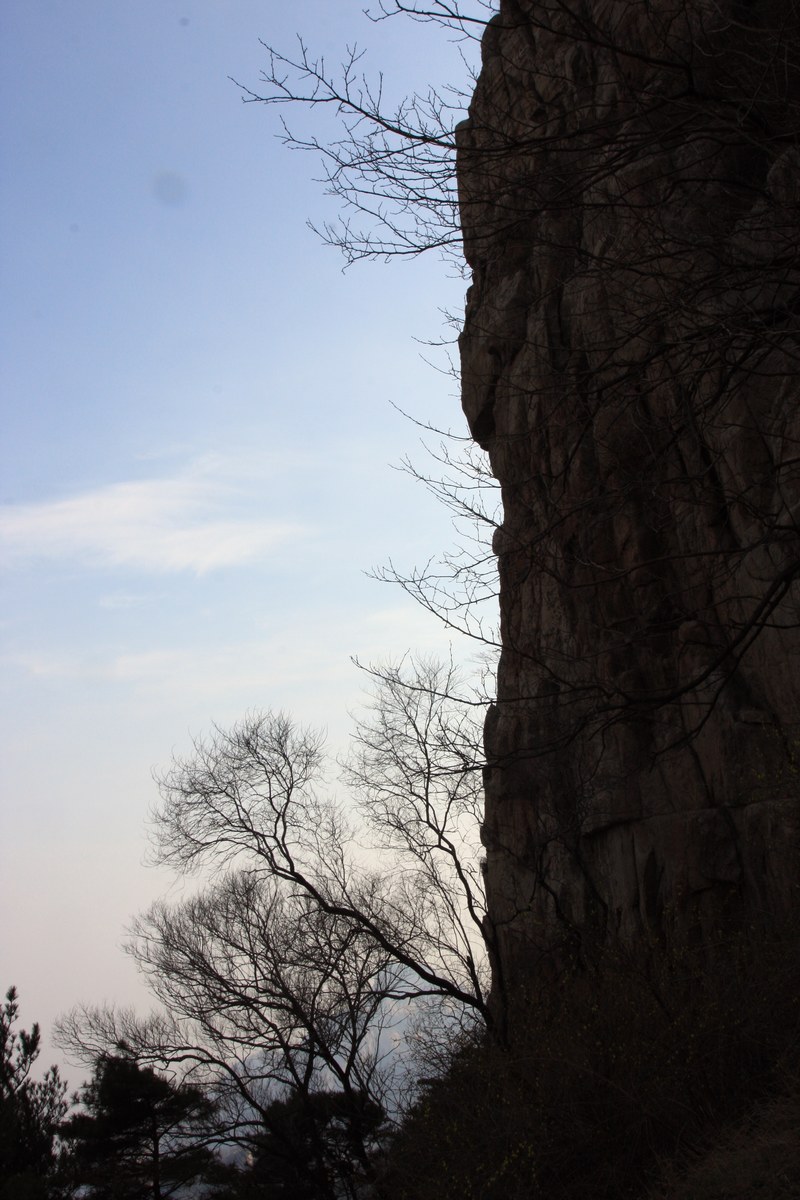 IMG_9386.JPG