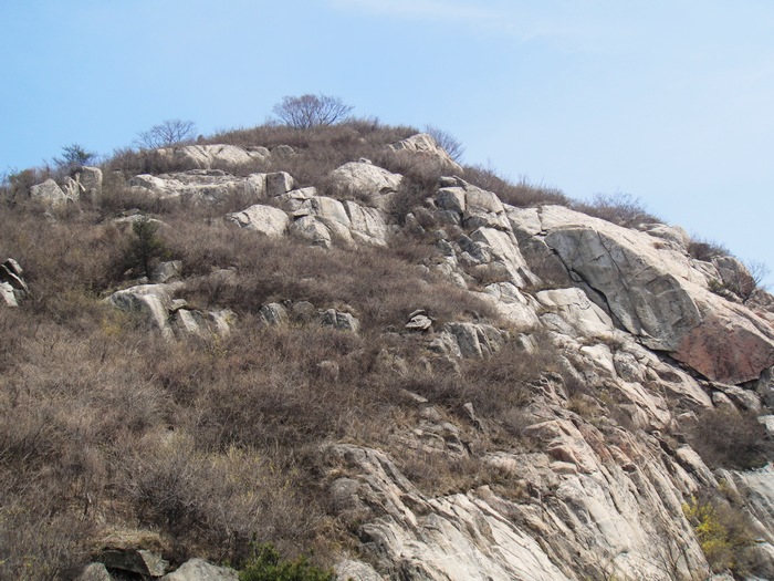 DSC02535.jpg