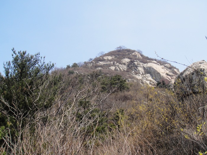 DSC02532.jpg