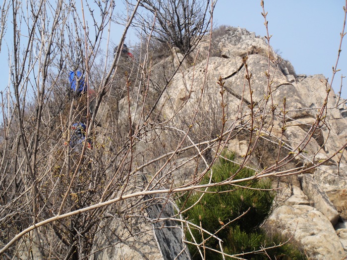 DSC02540.jpg