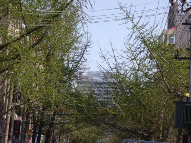 DSCF2601.JPG