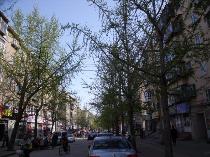DSCF2600.JPG