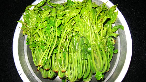 复制照片 033.jpg