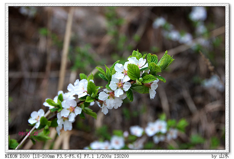 DSC_6232.jpg