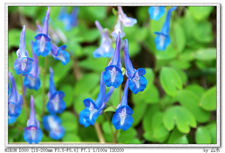 DSC_6236.jpg