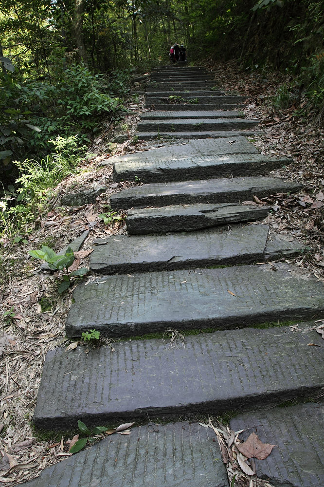 54.jpg