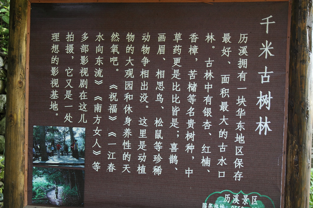 101.jpg