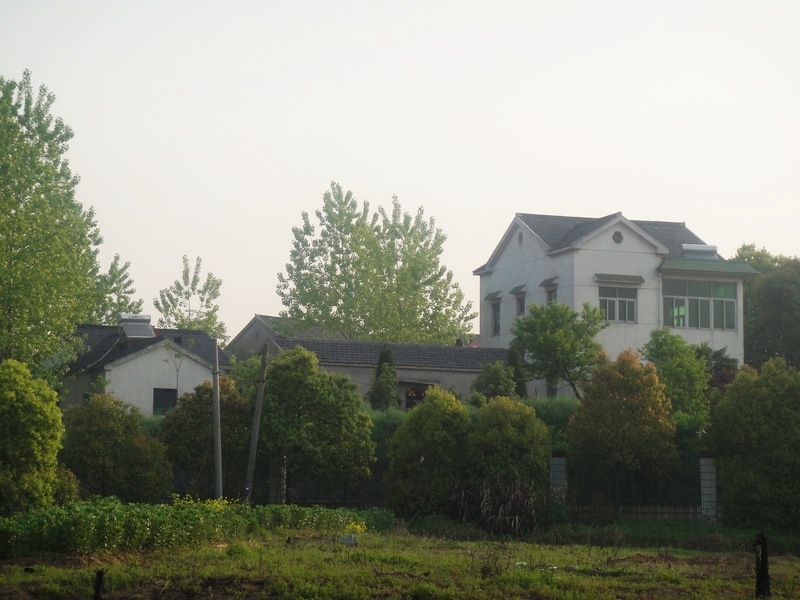 DSC02699.jpg