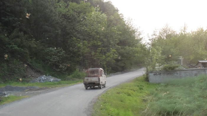DSC02836.jpg