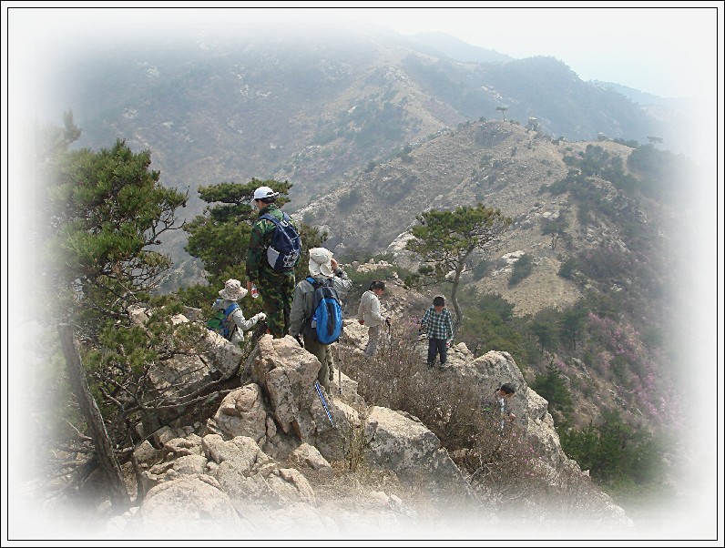 牙山赏春 (144).jpg