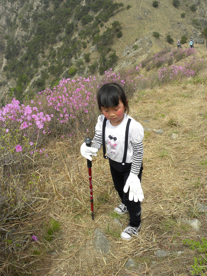 2010 065.jpg