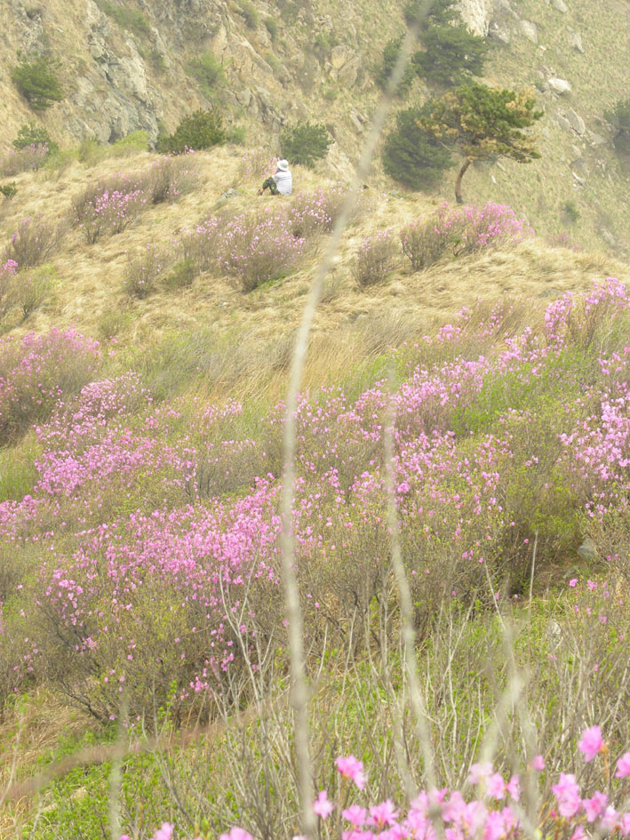 2010 079.jpg