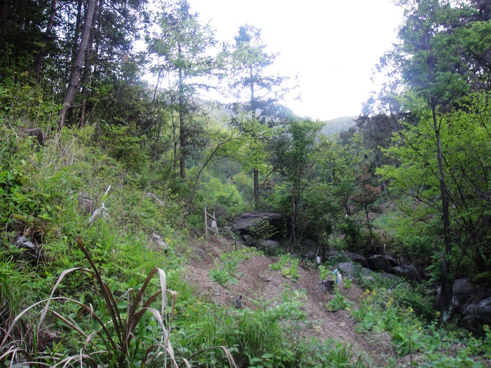 DSC02870.jpg