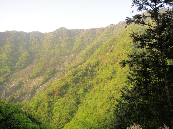 DSC02874.jpg
