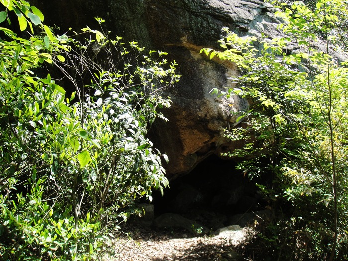 DSC03201.jpg