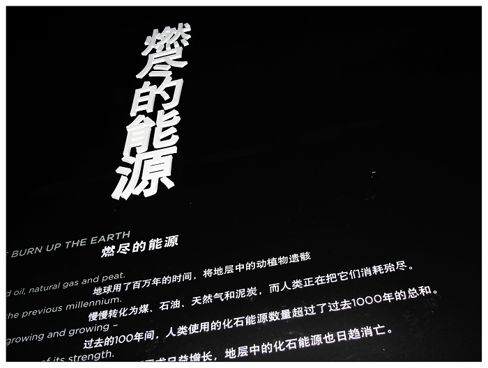 DSC00614.jpg