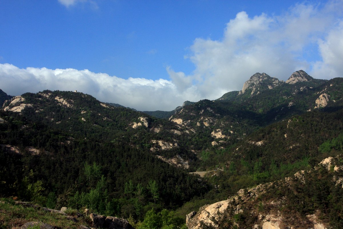 IMG_0063.JPG